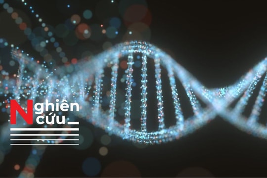 Nghiên cứu: Đột biến gen mới phát hiện có liên quan đến tâm thần phân liệt