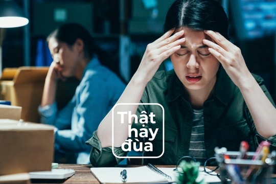 Sợ thật hay đùa [Kỳ 9]: Ergophobia - Sợ làm việc hay thực chất là lười biếng?