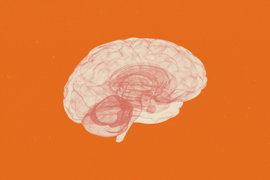 9 điều nên làm hàng ngày để bảo vệ sức khỏe não bộ