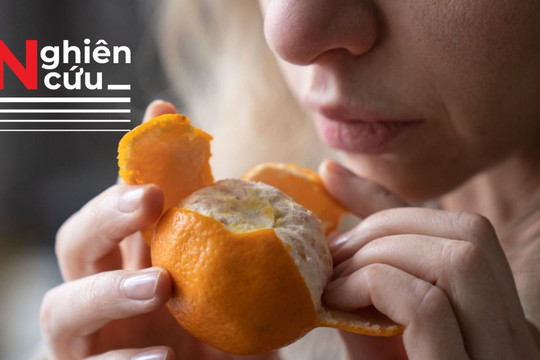 Khứu giác nhạy hơn chúng ta thường nghĩ