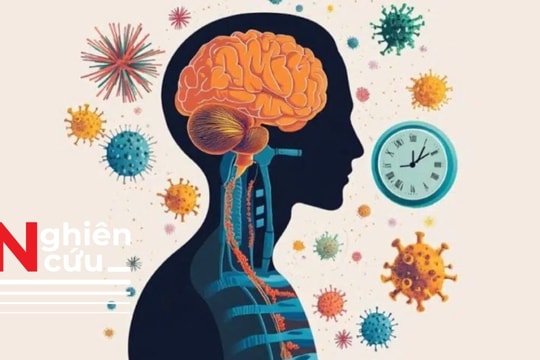 Nghiên cứu mới phát hiện hệ vi khuẩn đường ruột cũng có thể điều chỉnh mức độ căng thẳng