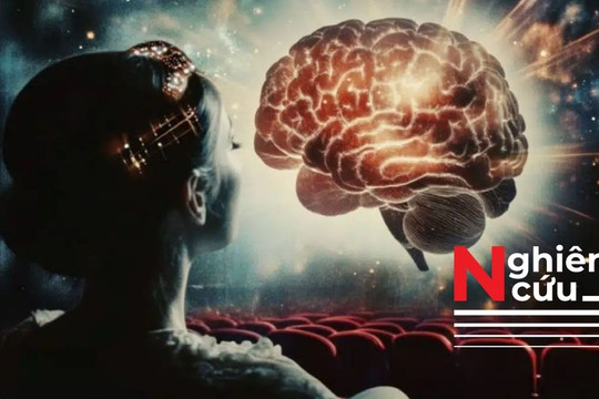 Não bộ phản ứng thế nào khi chúng ta xem phim?