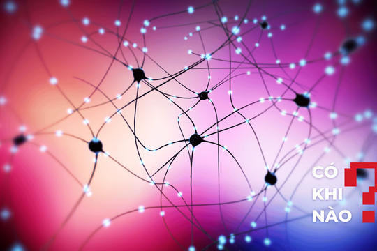 Có khi nào: Lãng quên là một lợi thế tiến hóa?