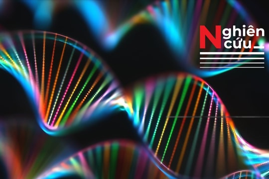 Đột biến 1 gen duy nhất nhưng gây ra hơn 30 tình trạng y khoa khác nhau