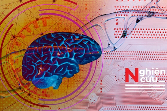 Phương pháp lập bản đồ gen trong não sống mở ra cơ hội điều trị bệnh thần kinh