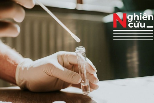 Virus SARS-CoV-2 có tồn tại dai dẳng trong cơ thể?