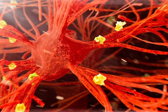 7 đột phá y học đầy triển vọng trong năm 2024