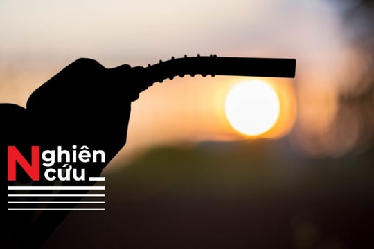 Gen X đối mặt nguy cơ rối loạn tâm thần do khí thải từ xăng pha chì