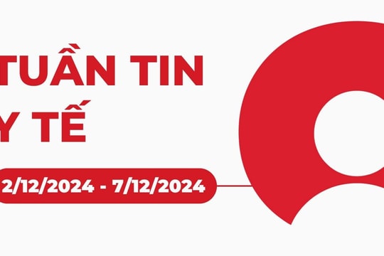 Tuần tin y tế  2/12/2024 - 7/12/2024: Tìm ra ‘thủ phạm’ gây ngộ độc sau khi ăn bánh mì ở Vũng Tàu. TP.HCM chìm trong sương mù, ô nhiễm không khí. Bệnh sốt xuất huyết ở Việt Nam thay đổi dịch tễ