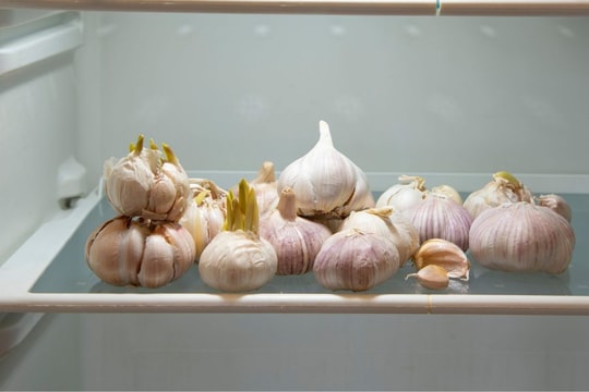 3 loại thực phẩm này xuất hiện trong tủ lạnh có thể gây hại cho sức khỏe