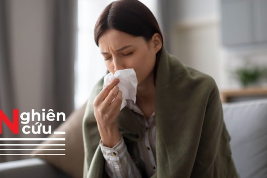 Hắt hơi sổ mũi có thể là dấu hiệu của nấm ẩn trong mũi