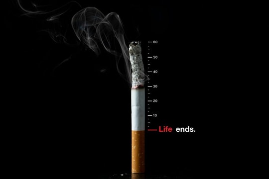 Mỗi điếu thuốc lấy đi 20 phút cuộc đời