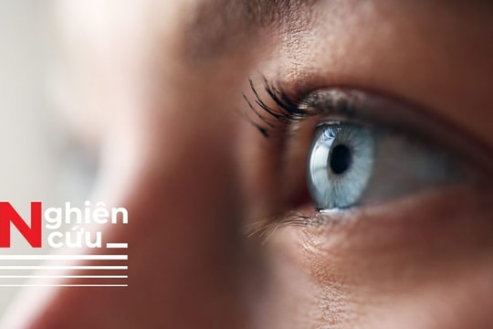 Kích thước của đồng tử khi ngủ có thể cho biết bạn đang mơ thấy ký ức gì