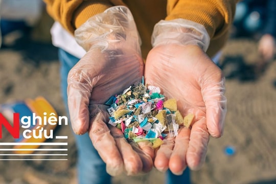 Hạt vi nhựa tiềm ẩn khả năng gây bệnh vô sinh, phổi và đường ruột
