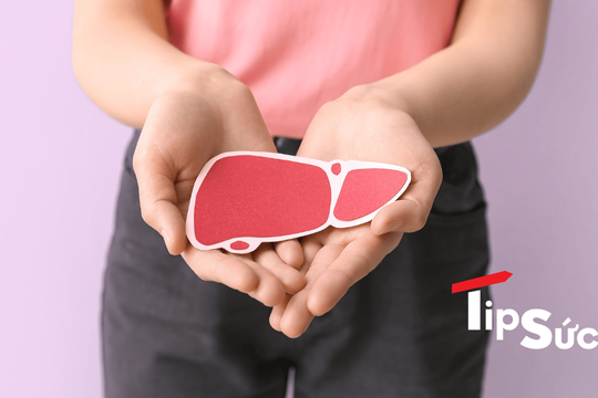 Tổng quan về cách giảm mỡ máu và gan nhiễm mỡ