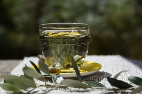 Dầu và quả ô liu đều tốt cho sức khỏe, vậy còn lá ô liu thì sao?