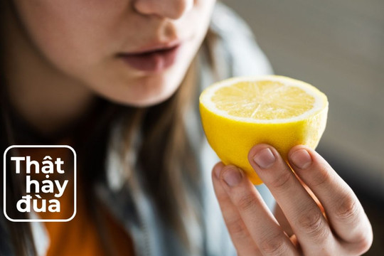 Muốn cuộc sống tốt hơn? Hãy để khứu giác dẫn đường