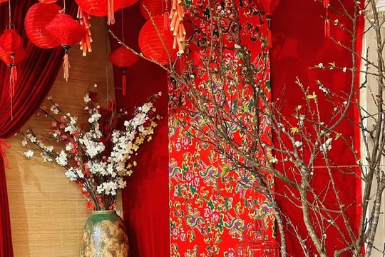 Điểm danh 7 quán cà phê chụp ảnh Tết không có gì để chê