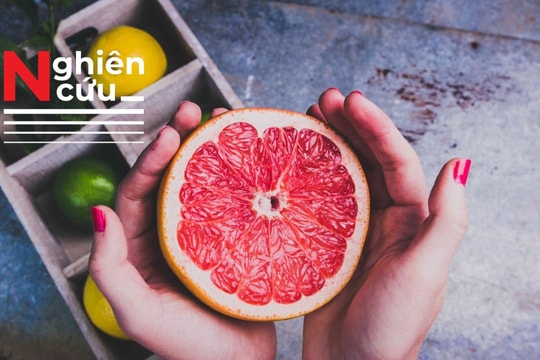 Vì sao nếu đang uống thuốc thì không được ăn bưởi?