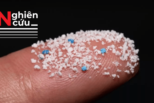 Vi nhựa có thể làm tăng nguy cơ sinh non