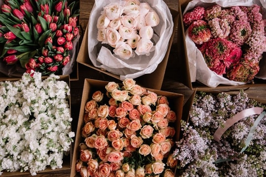 Valentine sẽ trở nên "nghệ" hơn nếu bạn biết đến "ngôn ngữ của những loài hoa"