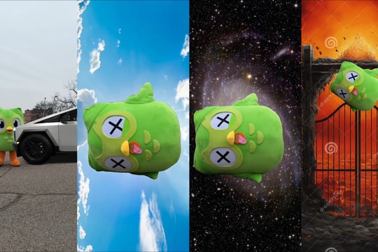 Hé lộ nguyên nhân linh vật của Duolingo "qua đời"