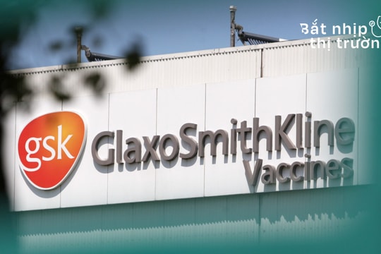 FDA phê duyệt vaccine viêm màng não do não mô cầu “5 trong 1” của GSK