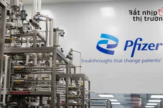 Pfizer ngừng thương mại liệu pháp gen BEQVEZ™, EMA phê duyệt thuốc TAKHZYRO® của công ty dược phẩm Takeda