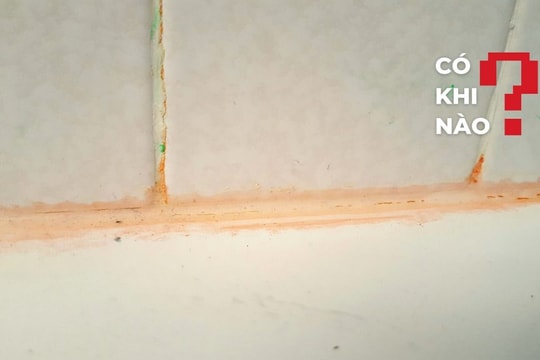 Nguy hiểm tiềm ẩn từ những mảng bám màu hồng 'nhầy nhụa' trong nhà tắm