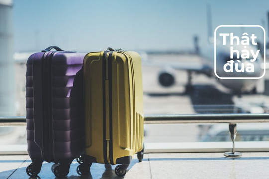 Khỏe mạnh nhưng suýt mất mạng vì ngồi quá lâu trên chuyến bay dài