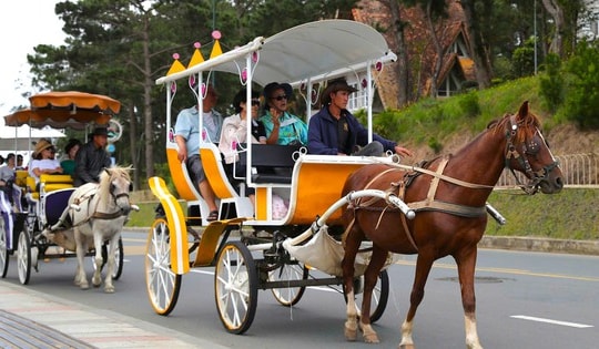 Đà Lạt nói về việc dừng xe điện, xe ngựa quanh hồ Xuân Hương