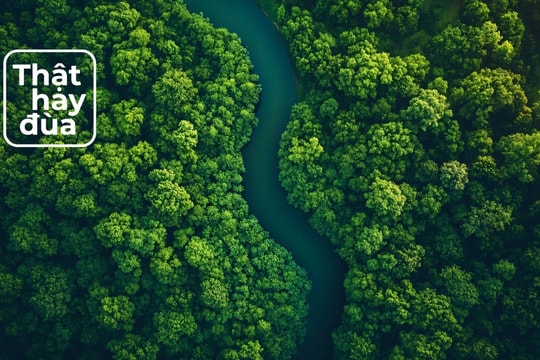 Ngắm nhìn hình ảnh từ thiên nhiên có thể giúp giảm đau