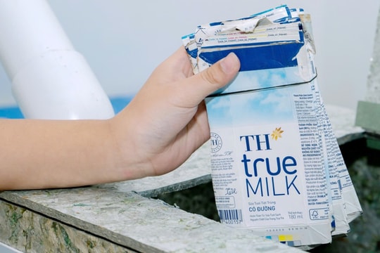 Điểm tin nóng 21/03/2025: TH Group đẩy mạnh triển khai các hoạt động bảo vệ môi trường