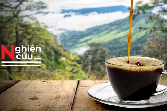Tin vui: Uống cà phê vào thời điểm này giúp tăng tuổi thọ