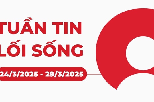 Tuần tin lối sống 24/3/2025 - 29/3/2025: Mang tất giúp bạn ngủ ngon hơn. Dân số thế giới đã bị tính hụt hàng tỷ người. Trải nghiệm bị sét đánh làm thay đổi màu mắt. Trend ngâm mặt vào nước đá có thật sự hiệu quả?