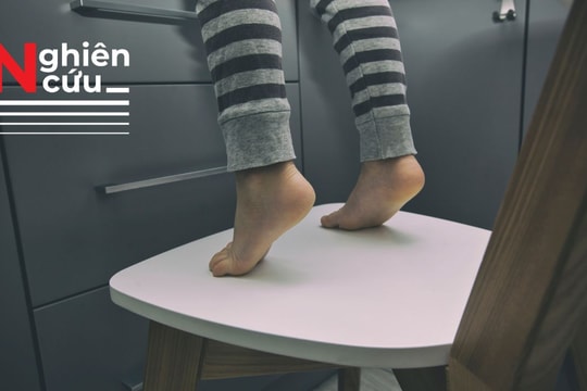 Vì sao người trẻ thường thích sự mạo hiểm?