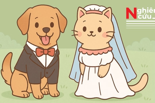 Nuôi chó mèo mang lại hạnh phúc như lấy vợ lấy chồng!