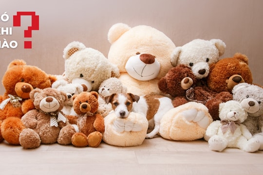 Bình thường hóa việc người lớn ôm gấu bông đi ngủ