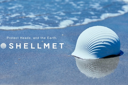 Khi vỏ sò cũng có thể bảo vệ đầu của bạn?