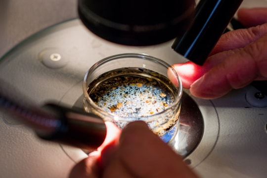 Lần đầu tiên phát hiện vi nhựa trong dịch nang buồng trứng