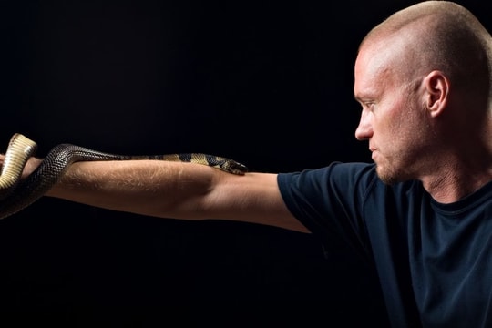 Người đàn ông tự tiêm nọc rắn vào cơ thể 856 lần để tìm kiếm kháng thể