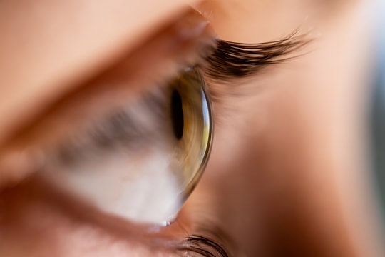 Biến đổi khí hậu đang đe dọa thị lực con người