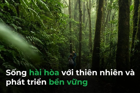 Ngày Quốc tế Đa dạng Sinh học 2025: Hài hòa, bền vững