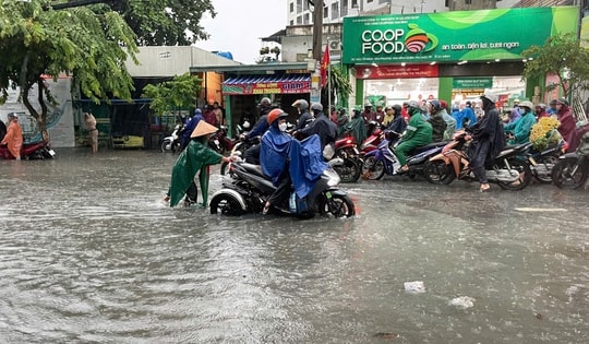 Vụ bé 10 tuổi bị cây rơi trúng đầu, mưa ngập: Chủ tịch UBND TP HCM ra chỉ đạo