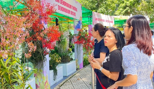 TP HCM: Lễ hội hoa lan lớn nhất năm 2025 có gì đặc sắc?