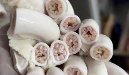 Vì sao cơ quan chức năng TP HCM chưa thể kết luận vụ lòng xe điếu?