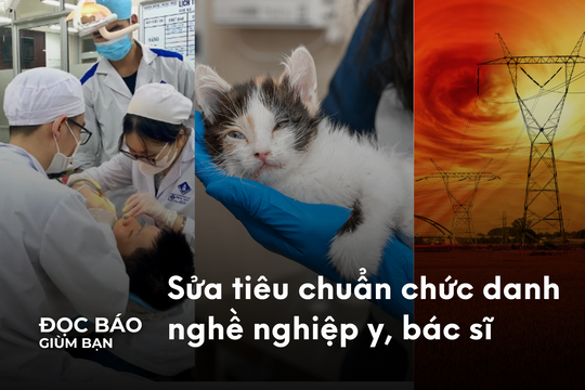 23/5/2025 | Cảnh báo nguy cơ bùng phát đại dịch cúm mèo toàn cầu. Bão Mặt trời khủng khiếp tấn công Trái Đất