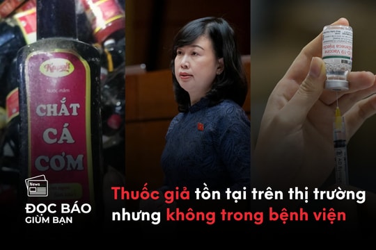 19/06/2025 | Thuốc giả tồn tại trên thị trường nhưng không trong bệnh viện. Hàng trăm chai nước mắm bị vứt ven đường ở Quảng Nam. Tác động bất ngờ của vaccine COVID-19 đến chức năng thận.