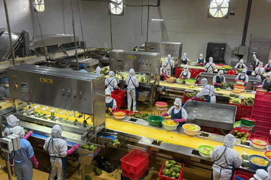 Việt Nam đã có dây chuyền đồ hộp giấy Tetra Recart® đầu tiên