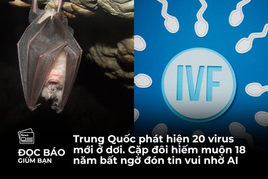 7/7/2025 | Trung Quốc phát hiện 20 virus mới ở dơi. Cặp đôi hiếm muộn 18 năm bất ngờ đón tin vui nhờ AI